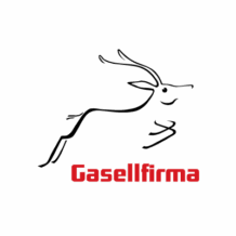 Meist ja partnerid 7 Gasellfirma