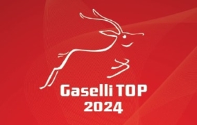 Gaselli TOP 2024